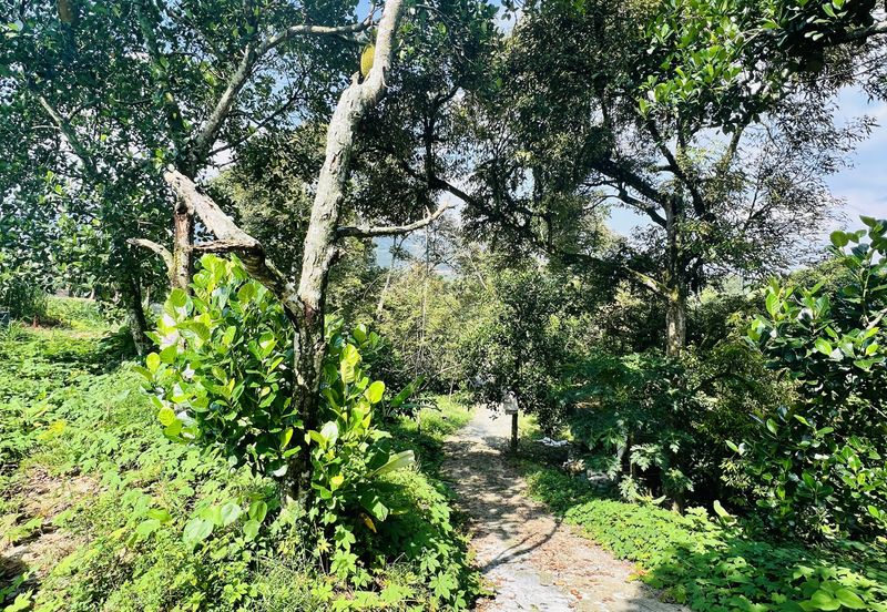 Kampung Baharu Pajam