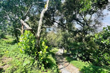 Kampung Baharu Pajam