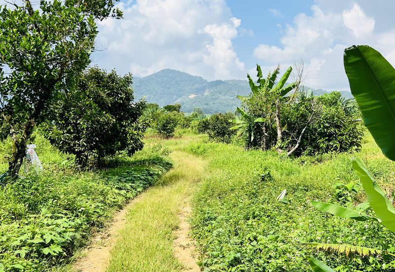 Kampung Baharu Pajam