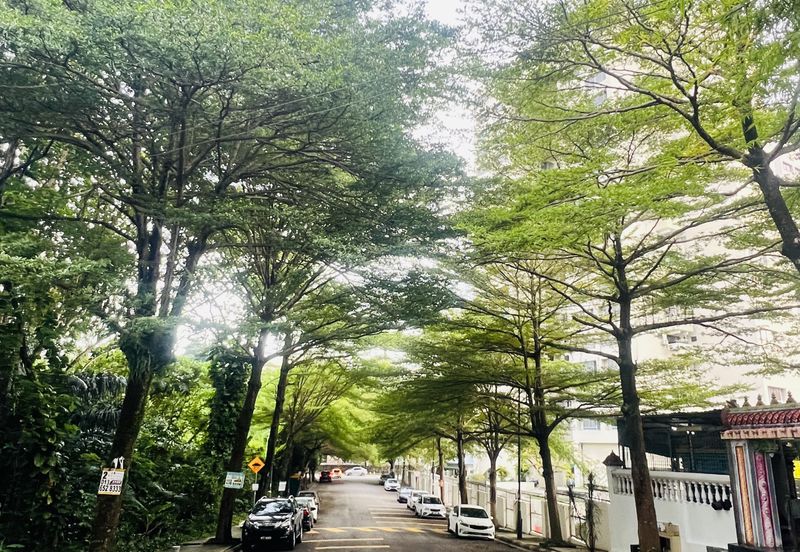 Papillon Desahill Condominium