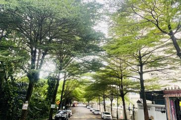 Papillon Desahill Condominium