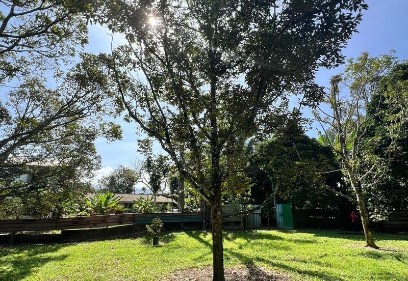 Nice river passing through durian orchard