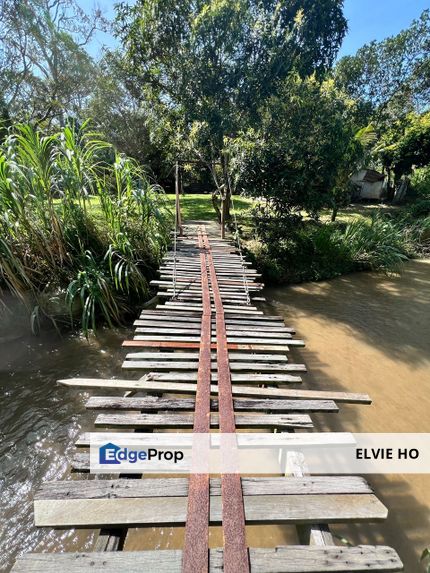 Nice river passing through durian orchard, Negeri Sembilan, Lenggeng