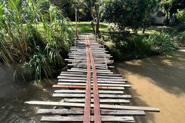 Nice river passing through durian orchard