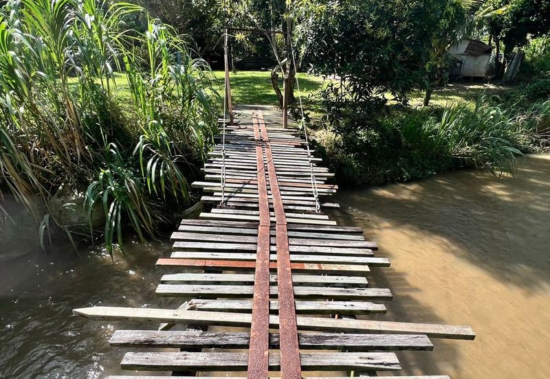 Nice river passing through durian orchard