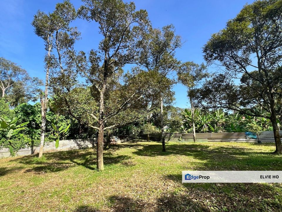 Nice river passing through durian orchard, Negeri Sembilan, Lenggeng