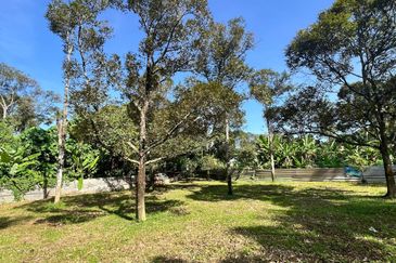 Nice river passing through durian orchard