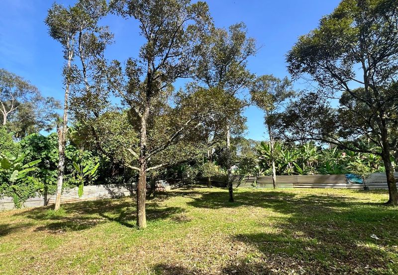 Nice river passing through durian orchard