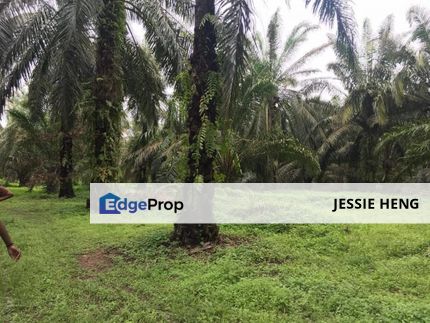 Residential Land 2.471 Acres Telok Panglima Garang, Selangor, Telok Panglima Garang