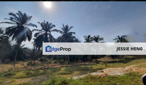 Residential Land Ijok 3.06 Acres , Selangor, Kuala Selangor