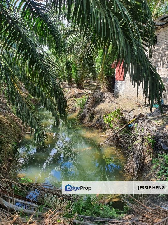 Land Perak, Kampung Gajah 400 Acres, Perak, Kampong Gajah