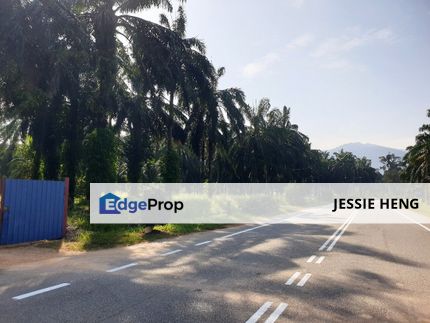 Land Batu Kurau, Perak Agriculture 580Acres ( 1st Lot ), Perak, 