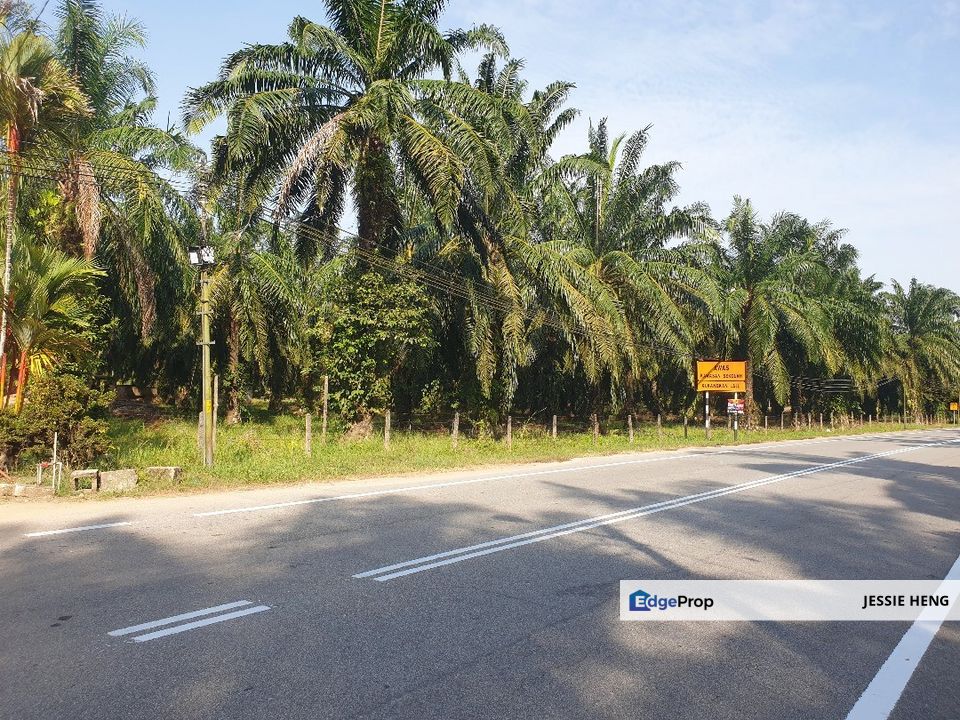 Land Batu Kurau, Perak Agriculture 580Acres ( 1st Lot ), Perak, 