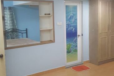 Freehold Bukit Gasing Corner Terrace House 