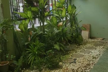 Freehold Bukit Gasing Corner Terrace House 