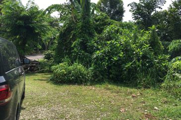 Bukit Gasing, Seksyen 5