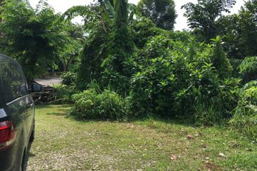 Bukit Gasing, Seksyen 5