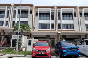 Edulis (Dillenia Series), Setia Alam