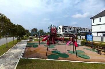 Edulis (Dillenia Series), Setia Alam