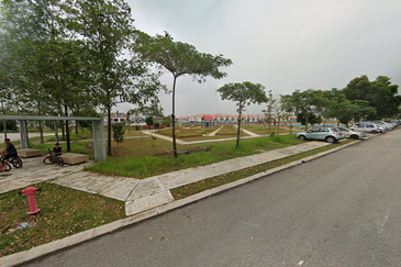 Edulis (Dillenia Series), Setia Alam