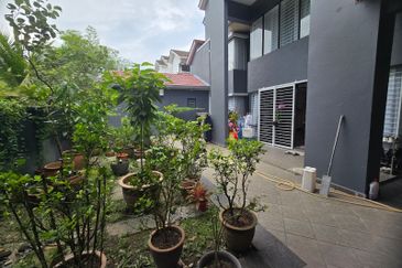 Lake Fields - Meadows and Glades