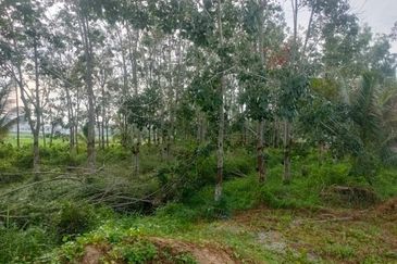 Tanah Lot Banglo Untuk Dijual di Kg Bechah Keranji, Peringat