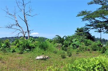 Monterez Golf & Country Club