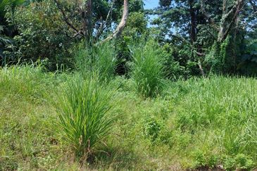 Monterez Golf & Country Club