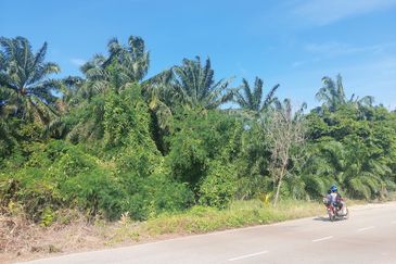 Tanah untuk di jual di Bandar Putera Indah, Batu Pahat