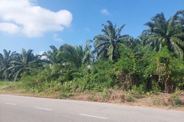 Tanah untuk di jual di Bandar Putera Indah, Batu Pahat