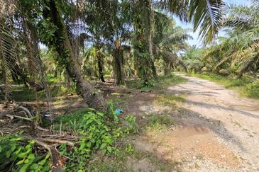 Agri Land Near Ladang Hopeful Hulu Tinggi, Kuala Selangor, Selangor (1 Acre)