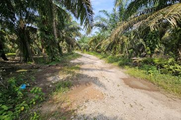 Agri Land Near Ladang Hopeful Hulu Tinggi, Kuala Selangor, Selangor (1 Acre)