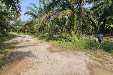 Agri Land Near Ladang Hopeful Hulu Tinggi, Kuala Selangor, Selangor (1 Acre)