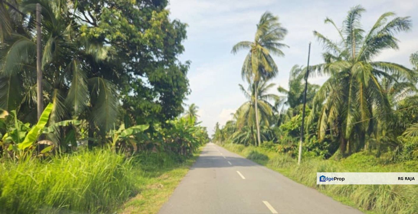 Agricultural land, Bukit Rotan, Kuala Selangor , Selangor, Kuala Selangor