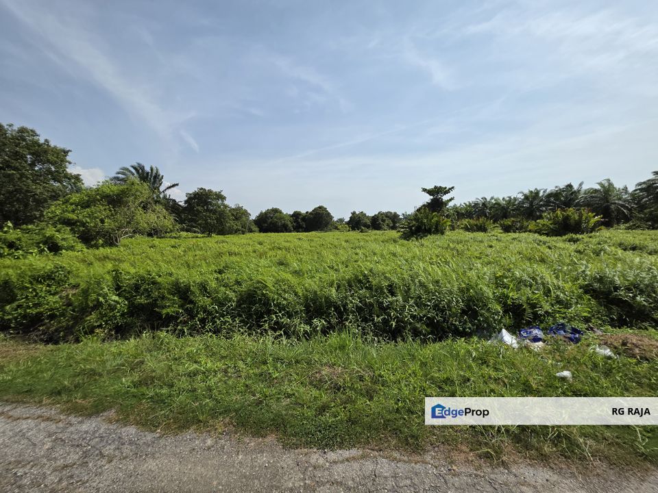 Agricultural land, Bukit Rotan, Kuala Selangor , Selangor, Kuala Selangor