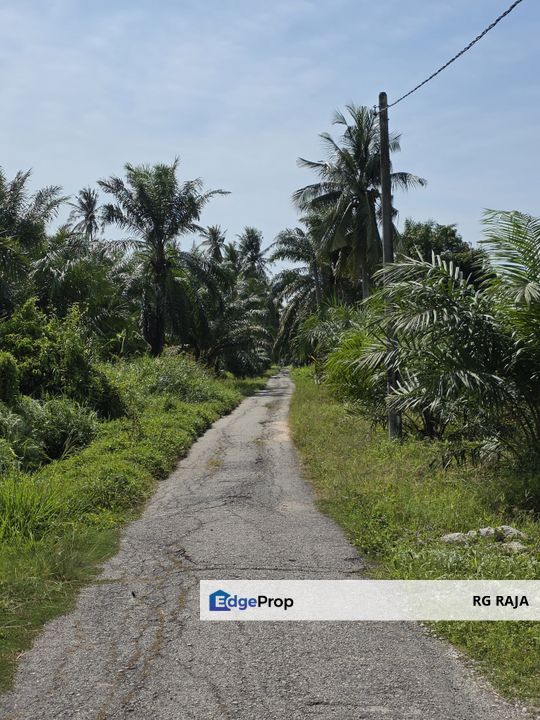 Agricultural land, Bukit Rotan, Kuala Selangor , Selangor, Kuala Selangor