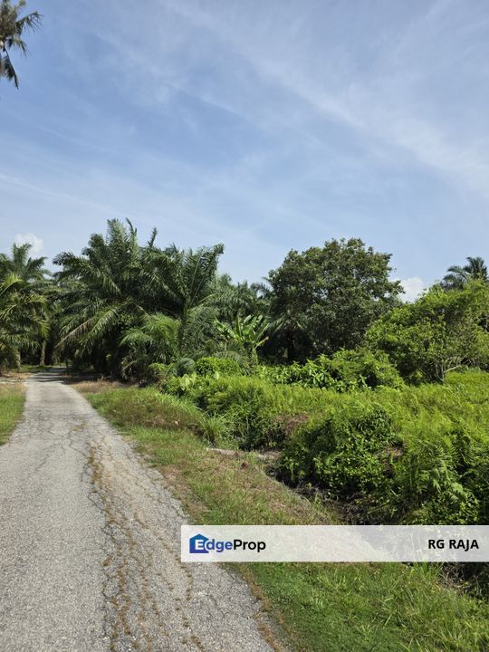 Agricultural land, Bukit Rotan, Kuala Selangor , Selangor, Kuala Selangor