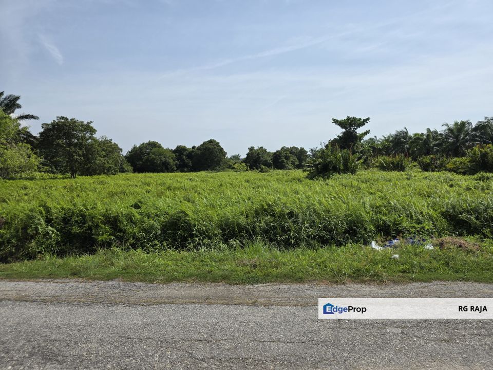 Agricultural land, Bukit Rotan, Kuala Selangor , Selangor, Kuala Selangor