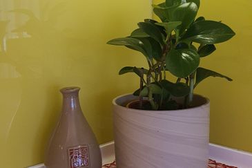 The Signature Serviced Suites