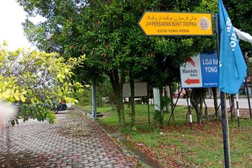 Yong Peng-Agriculture Land Zoned Residential