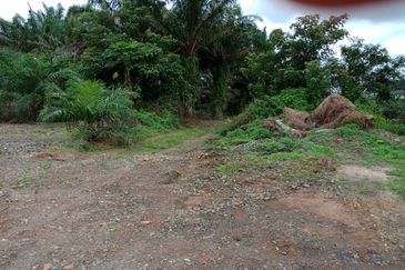 Yong Peng-Agriculture Land Zoned Residential