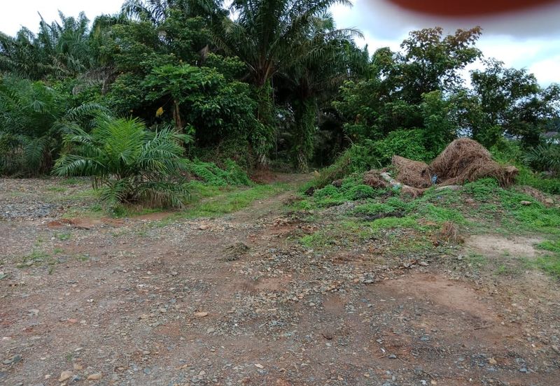 Yong Peng-Agriculture Land Zoned Residential