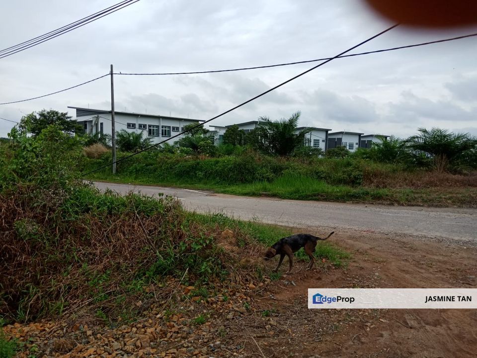 Yong Peng-Agriculture Land Zoned Residential, Johor, Yong Peng