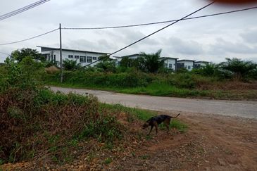 Yong Peng-Agriculture Land Zoned Residential