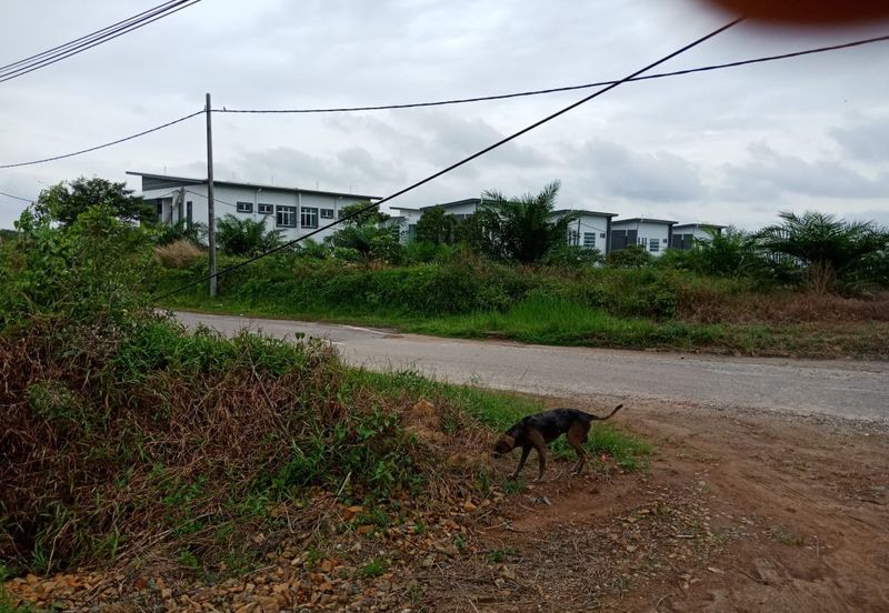 Yong Peng-Agriculture Land Zoned Residential