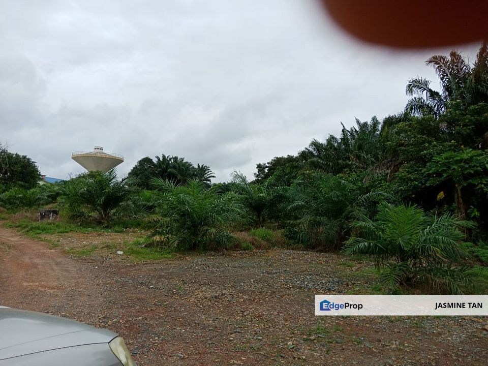 Yong Peng-Agriculture Land Zoned Residential, Johor, Yong Peng