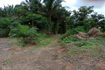 Yong Peng-Agriculture Land Zoned Residential