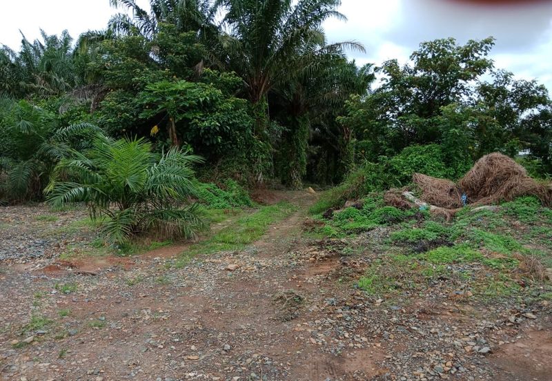 Yong Peng-Agriculture Land Zoned Residential