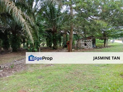 Yong Peng-Agriculture Land Zoning Commercial, Johor, Yong Peng