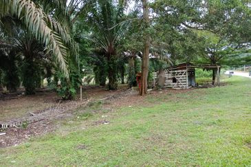 Yong Peng-Agriculture Land Zoning Commercial